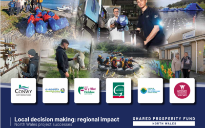 Celebration Document showcasing how Local Decision making has led to Regional Impact