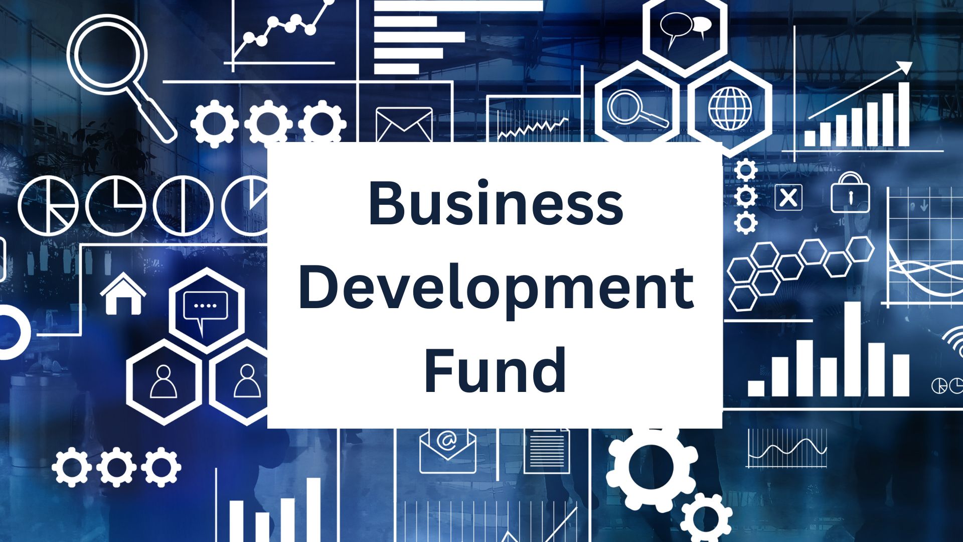Business Dev Fund
