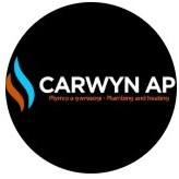 Carwyn ap logo