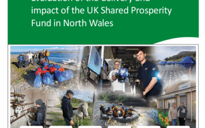 Initial Report: Evaluation of the delivery and impact of the UK Shared Prosperity Fund in North Wales